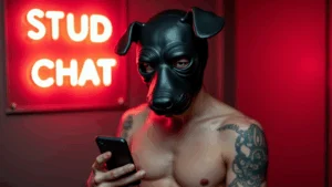 Nueva función en STUD Chat: ¡Ahora puedes enviar fotos!