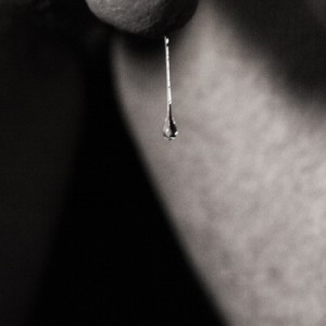 Cruising Gay: precum