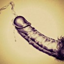 Xtudr - Enseñar carne: Bienvenidos a todos los q quieren enseñar
Se admiten musculos, peludos, rabos, culos, pies...enseña lo q quieras...desde tiazos web hasta tu rabo o culo...