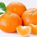 Xtudr - culo con mandarinas: 