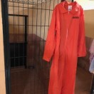 Xtudr - Guantanamo: Para esclavos con cuerpos decentes que quieran pasar un finde o unos días como en guantanamo, torturas e interrogatorios incluidos..... Las celdas están en Madrid.  Si no eres masoquista para que te apuntas????????????????