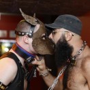 Cruising Gay: EVENTO CERCA DE SITGES "UN ESCL...