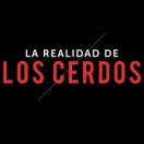 Xtudr - Soy muy Cerdo... : Auténticos machos Cerdakos 100% 