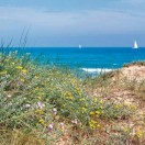 Xtudr - Pinedo - Saler Playa Valencia : Grupo para amantes del cruising y los encuentros en la playa y las dunas del Saler y Pinedo en Valencia España 