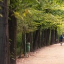 Cruising Gai: Running Retiro (Madrid)