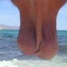 Xtudr - macho maño x esclavo maño: grupo para tíos esclavos o sumisos zaragozanos, masculinos, entregados y obedientes para relación asimétrica tradicional, real.