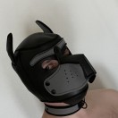 Xtudr - GossosBCN: Per gossos i Dominants, trobades ,converçar 
Obert!