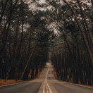 Cruising Gay: Cruising Pinar Liencres