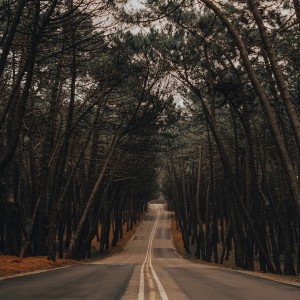 Cruising Gay: Cruising Pinar Liencres
