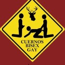 Gay Cruising: CuernosGayBisexual