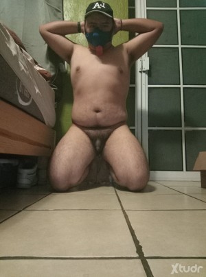 Xtudr - NewPuppyQro: Nuevo cachorro sumiso, abierto a todo. Interesado en sex puerco y en bdsm, especialmente en cbt e.e 
SL