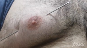 Xtudr - Oso_masoquista: Mis pechos están preparados para ser perforados con agujas de diversas medidas, clavos largos, pinchos de acero y an...
