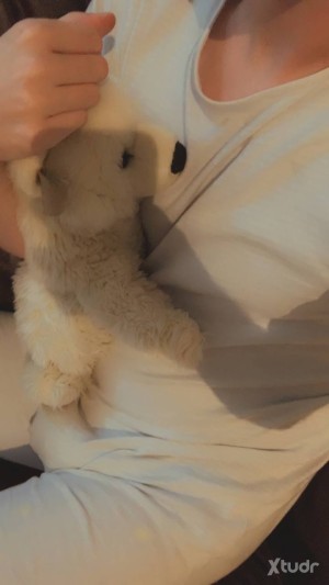 Xtudr - zebra: little into rp