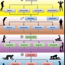 Xtudr - BUSCOomega:  EN BUSCA DE iN...