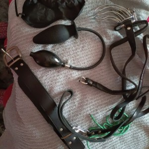 Xtudr - morbo54: looking for submissives to use and humiliate if you have few limits it's better, also if possible in the mornings that I ca...