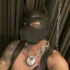 Xtudr - LEATHERKBRON: MASTER • HANDLER • BDSM • PUPPY PLAY …
LEATHER • RUBBER • SKIN  & SMOKER LOVER
SIN UNA PUTA FOTO, DUDO QUE TE CONTESTE...