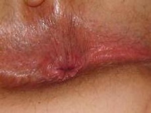 Xtudr - Bitch1947: I'm a bit fat and I like to suck and lick.
Fill my mouth and..... 
Now: the royal ones