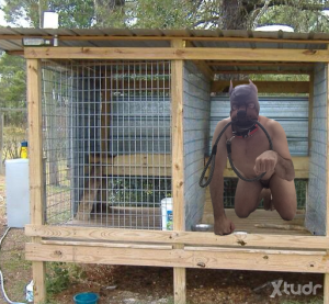 Xtudr - K9humano: Training of dogs (dog play / dog training / puppy play / pet play): I like all aspects of dog training – walking on all fo...