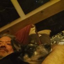 Xtudr - Kharlos71: Oso amo activo d...