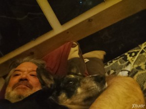 Xtudr - Kharlos71: Oso amo activo dotado pocos limites