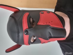 Xtudr - SwitM: Con poca experiencia me molaria encontrar con quien mejorar