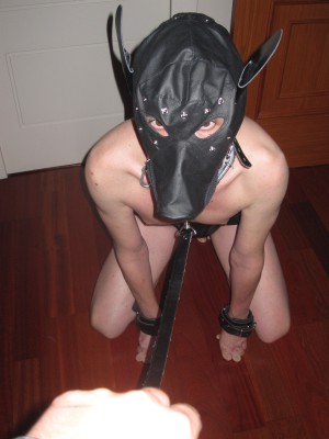 Xtudr - avephoenix1980: I'm a submissive 43-year-old with a natural disposition to be an Esclavo. I feel the need to be trained physically a...