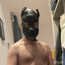 Xtudr - tragonobediente: Gay sub pa...