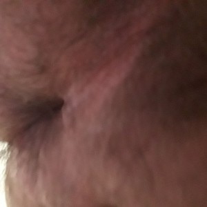 Xtudr - BCNyoa4patas: Sumiso. Castaño, pelo corto, sin bigote ni barba, sin pluma. Casado pero muy muy vicioso. Me desplazo a cercanías. Yo ...