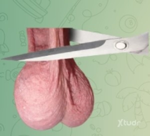 Xtudr - Sporus: Busco amo macho real 