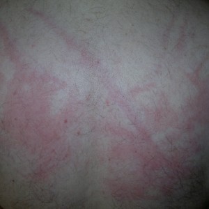 Xtudr - Cashlave: ESCLAVO VIEJO
Apropiado a principios de este año por Am-Dominador, después de estar varios años sin Amo. Mi tercer Amo par...