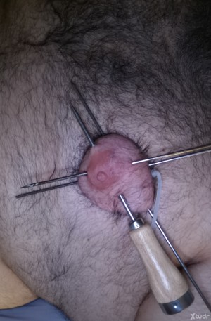 Xtudr - Oso_masoquista: Mis pechos están preparados para ser perforados con agujas de diversas medidas, clavos largos, pinchos de acero y an...