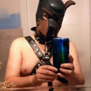 Xtudr - Trastovlc: Dog seeks seriou...