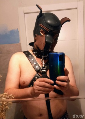 Xtudr - Trastovlc: Dog seeks serious Dominant man