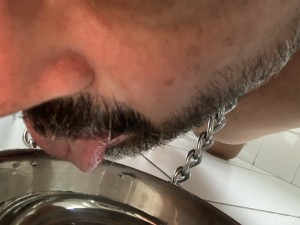 Xtudr - K9humano: Training of dogs (dog play / dog training / puppy play / pet play): I like all aspects of dog training – walking on all fo...