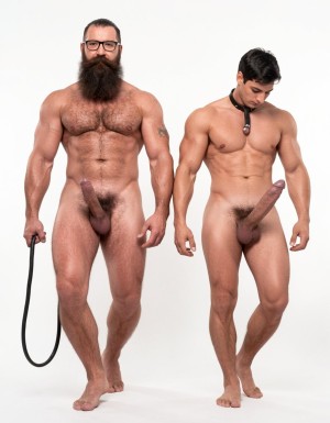 A highly detailed full-body photograph of both men walking completely naked in a bright white photography studio with perfect even lighting. Hipsterbarba, the 40-year-old dominant muscle bear master, walks confidently on the left: 180cm tall, 80kg with 8% body fat, powerful athletic physique, massive rounded pecs, defined six-pack, wide shoulders, thick vascular arms, powerful legs, wide V-shaped back, dense dark body hair covering chest, shoulders, abs, thick pubic bush and thighs. High fade undercut haircut, very thick long Bandholz beard reaching almost to his chest, thick curled handlebar mustache with spiral ends, black-rimmed glasses, small tattoo on right arm saying “hipsterbarba”. Thick cock with partial foreskin and visible pink glans, heavy low-hanging balls. He walks forward with dominant posture, chest out, looking straight ahead, gripping a thick black leather leash tightly in his left hand and pulling it firmly.

Slightly behind him and being led, walks Anil, the 25-year-old extreme bodybuilder slave: 175cm tall, 80kg with 6% body fat in peak competition condition, massive 127cm chest with huge thick pecs, 47cm vascular peaked arms, deep shredded eight-pack, tiny 60cm waist with extreme V-taper, wide flaring lats, high round bubbly 90cm glutes, 70cm massive shredded quads with razor sharp separation. Skin bronzed, paper-thin and shiny, completely smooth and hairless from the neck down. He wears a thick black leather slave collar tightly buckled around his neck. A thick metal cock ring is tightly fastened at the base of his thick veiny cock, and the black leather leash is clipped to that cock ring, pulled taut and stretching the skin at the base of his dick as he is being walked. Large smooth shaved balls hang below the ring. Anil walks with head bowed, eyes down, in a clear submissive posture, his powerful body moving obediently behind his master.

Both men fully naked head to toe, realistic skin texture, extreme muscle and hair details, professional studio photography.