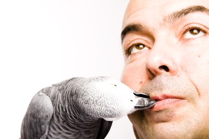 Xtudr - fejamuve: Me va de todo salvo extremos como scat, sangre, fist, dolor, etc. (al menos de pasivo).
Me considero un buen follador y me...