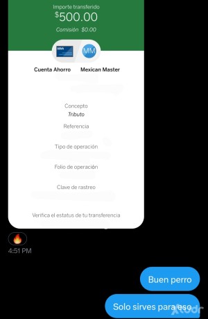 Xtudr - Amomexa: CA$HMA$TER MEXICANO 🇲🇽
Únicamente esclavos financieros serios, no regalo mi tiempo.
