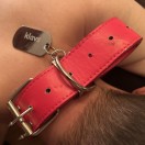 Xtudr - KLAVS: Faggot Masochist Dog...