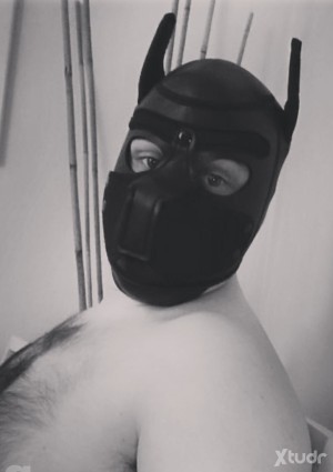 Xtudr - escl86: I can translate the given text for you.
The translation is: 
Looking for
Humiliation
Bondage
Forced chastity
Physical punish...