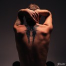 Xtudr - polsemp: busco zorrita (sum...