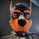 Xtudr - Hank_pup: 