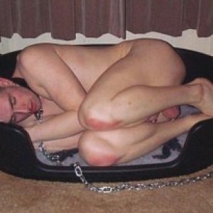 Xtudr - amozeus: Amo con aspecto joven y dominante. Un tio normal en la calle. Un amo dominante en privado.  
No busco sexo y rara vez sesio...