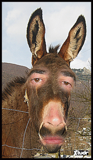 Xtudr - andresgonzales: Soy sumiso gordito pero en forma. Me gustaría experimenta una experiencia bdsm. Me gustan los  juegos de ataduras, h...