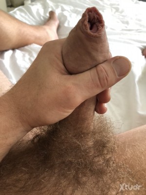 Xtudr - Bear_PIG: 