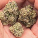 Xtudr - CokeDelivery: 