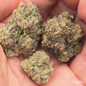 Xtudr - CokeDelivery: 