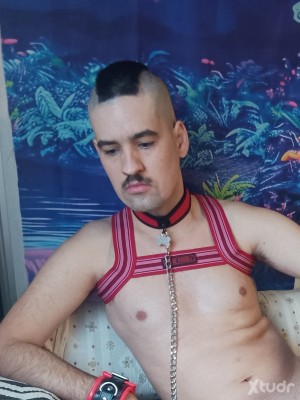 Xtudr - PUTASERVICIAL: Sub in chastity. Friendship and let's see how it goes.