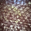 Xtudr - gans: Abierto de mente y nu...