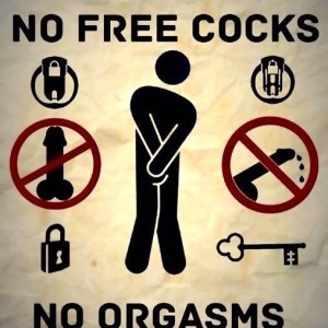 Xtudr - tracio967: I'm looking for a submissive, inferior slave bitch who only desires to obey and have someone wisely administer their life...