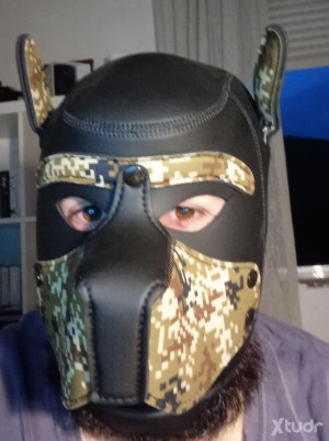 Xtudr - PasivoBBbizkaia: I'm looking for people to suck dicks and swallow cum. Mature ones especially. If you're interested, send a message....